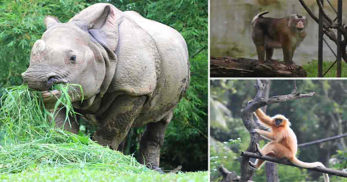 Assam State Zoo cum Botanical Garden