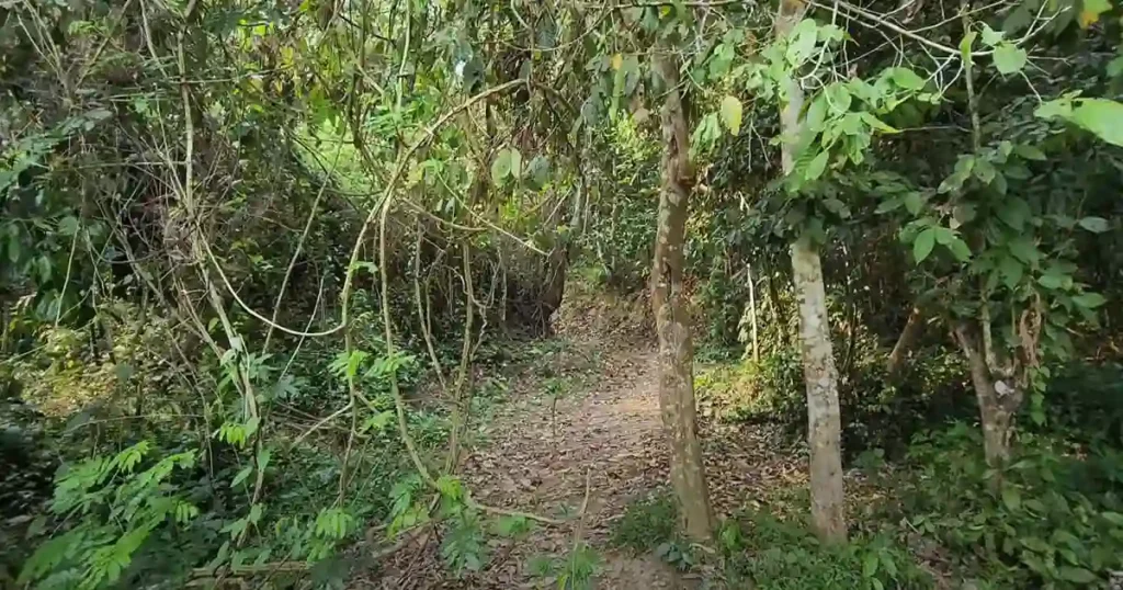 Garampani Sanctuary