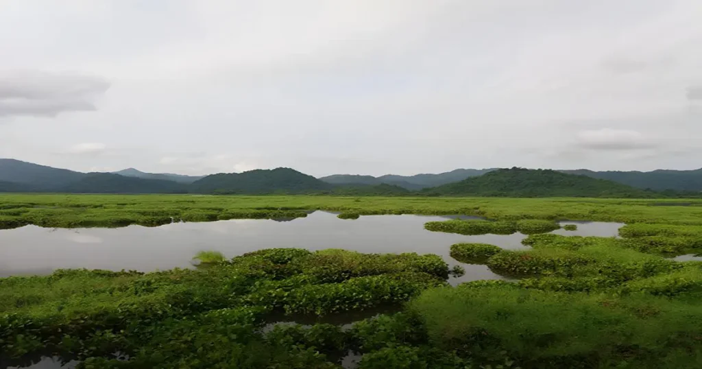 Chakrashila Wildlife Sanctuary