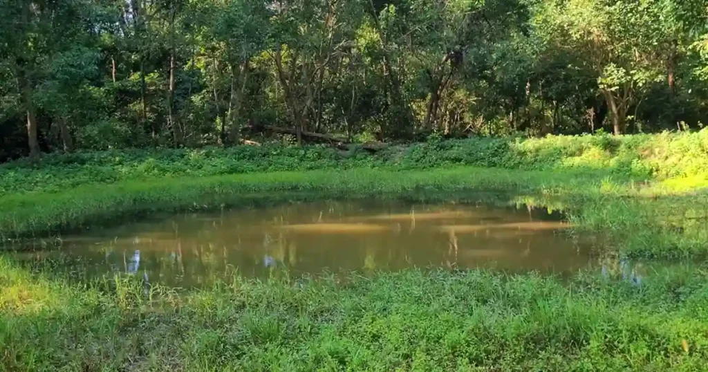 Simbalbara National Park