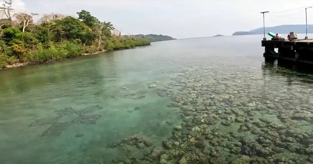 Mahatma Gandhi Marine National Park