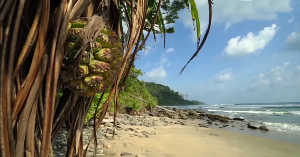 Campbell Bay National Park