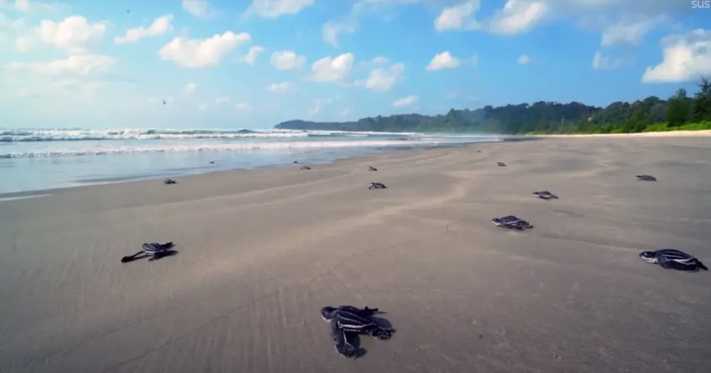 Mahatma Gandhi Marine National Park