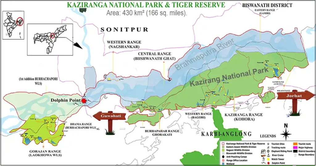 Best Time to Visit Kaziranga National Park