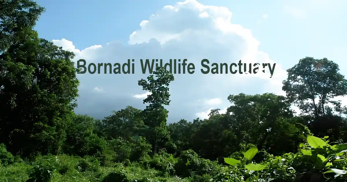 Bornadi Wildlife Sanctuary