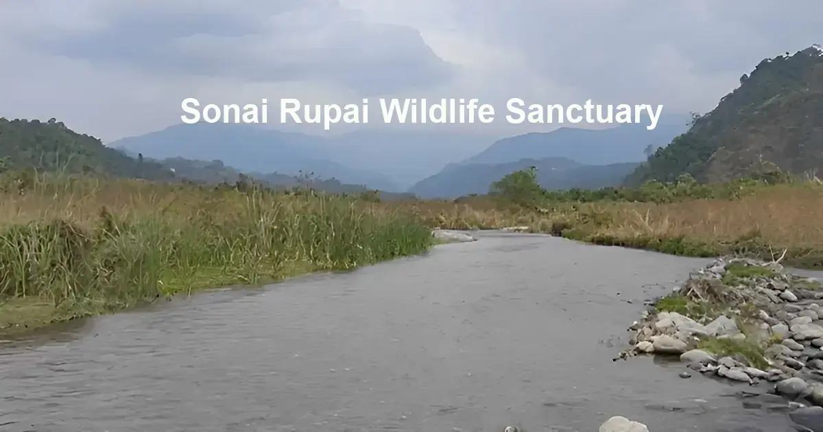 Sonai Rupai Wildlife Sanctuary