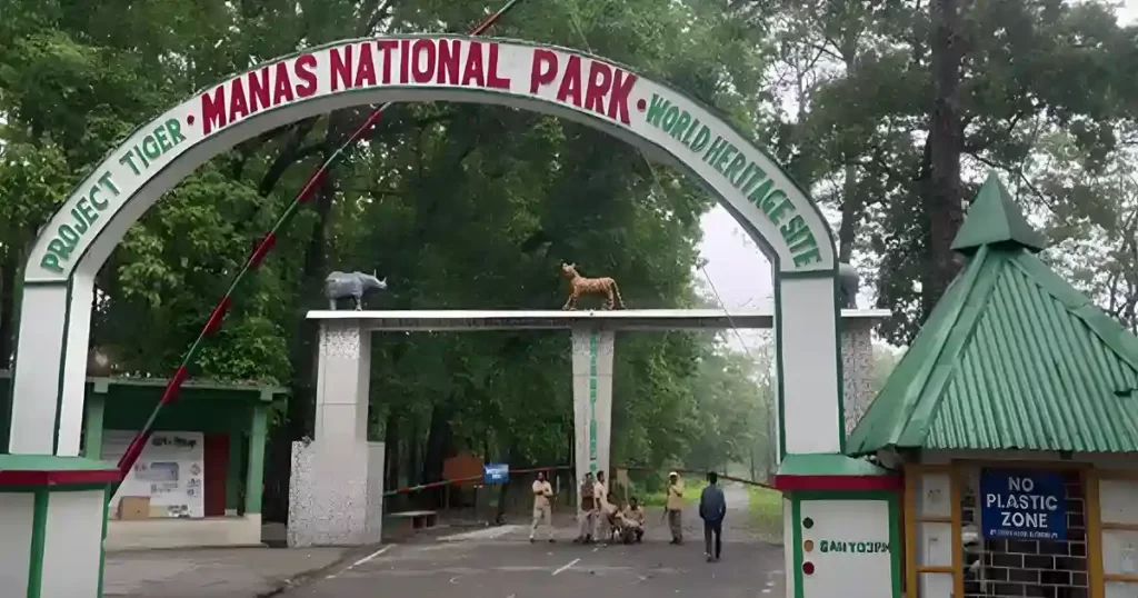 manas-national-park