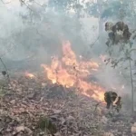 Massive fire broke at Raimona National Park